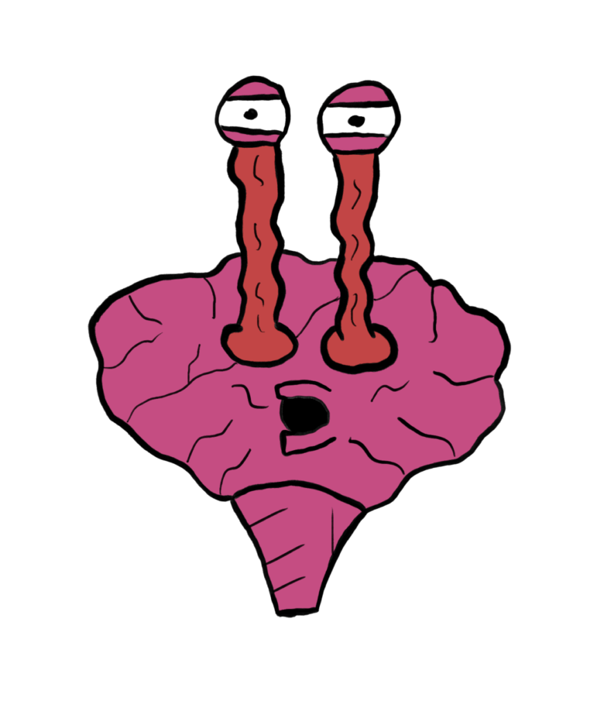 No Komplaints Logo Brain