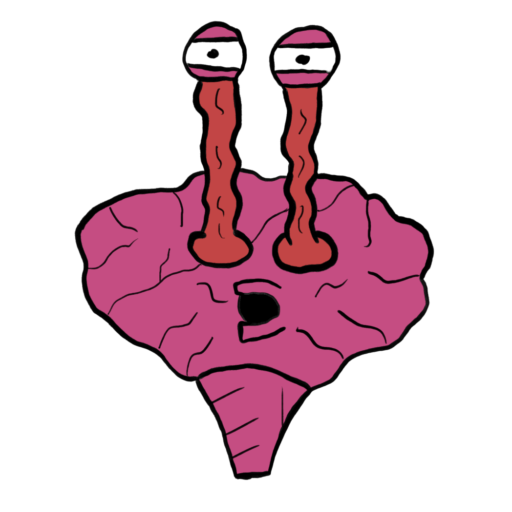 No Komplaints Indie Skate Art Brain Series